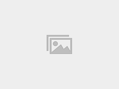 Property Investment & Scouts System